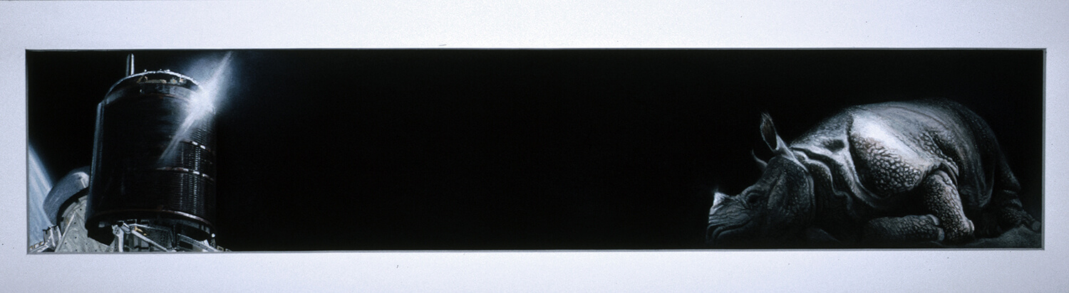 Glanzlauscher | Aquarell auf Papier | 64 x 13 cm